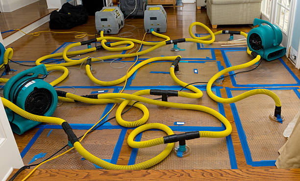 Professional Water Damage Repair technician working in Crosby, TX
